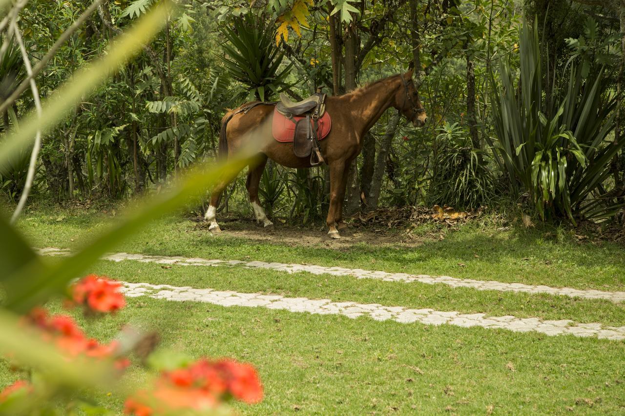 Estancia De La Campina Nono Екстер'єр фото